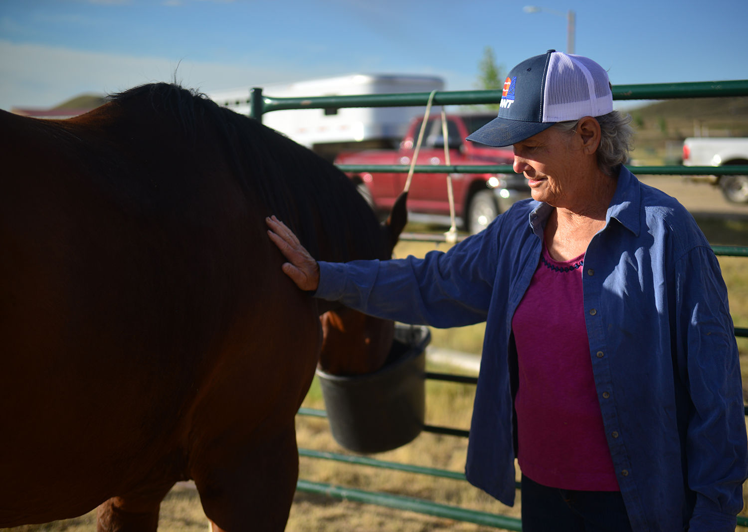 Sue Jarrard rubs on one of her three horses after graining them during morning chores